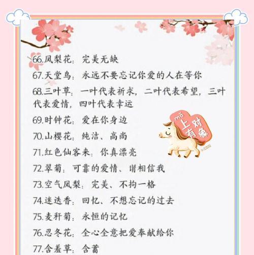 礼仪花通常有哪些寓意？