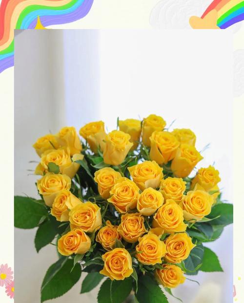 黄色芭比花的寓意和象征是什么？