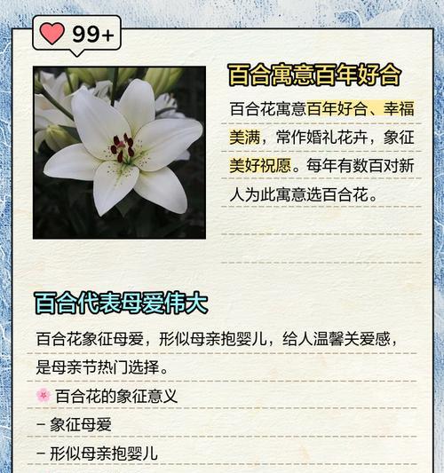 新娘手捧花中百合花的寓意是什么？