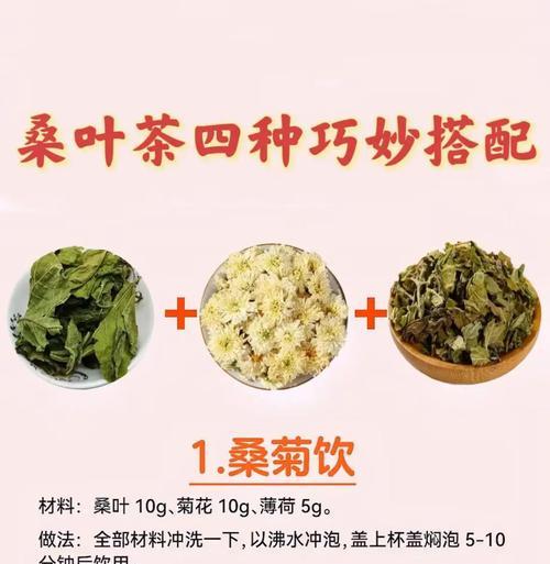桑叶与爱情相关的花是什么？桑叶在花语中代表什么？