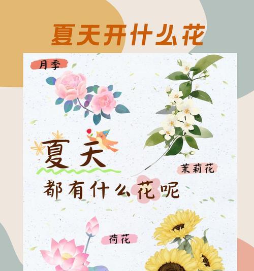 四季花语分别代表什么？不同季节的花有何含义？