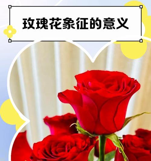 哪些花代表了爱情的含义？