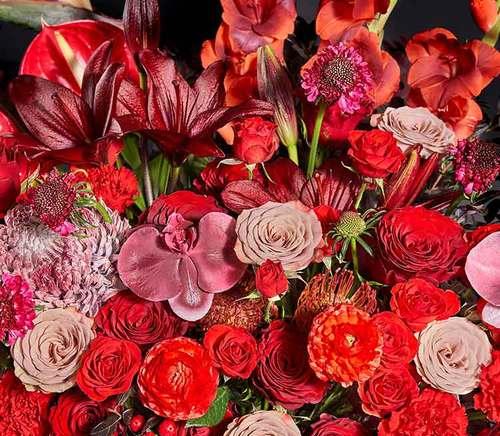 红宝石象征爱情的花是什么？红宝石花的花语是什么？