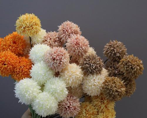 白色乒乓球花的寓意是什么？