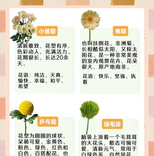 花艺配色如何表达情感？不同颜色搭配的花艺含义是什么？