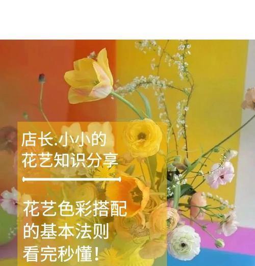 花艺配色如何表达情感？不同颜色搭配的花艺含义是什么？