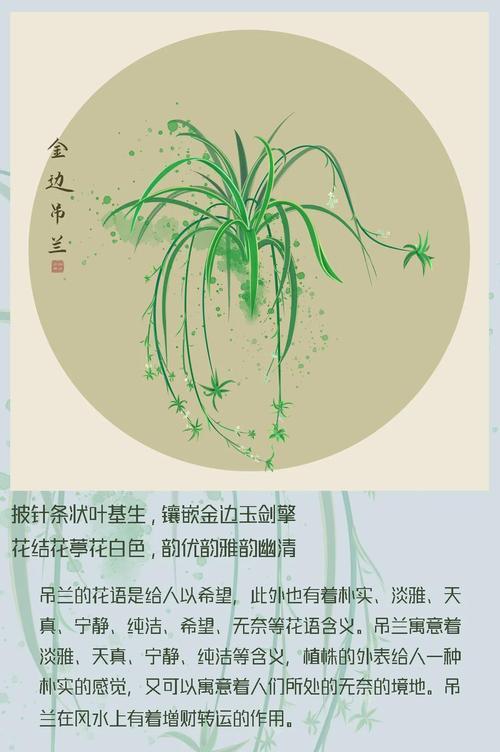 细节在花语中代表什么？花语中的细节寓意有哪些？