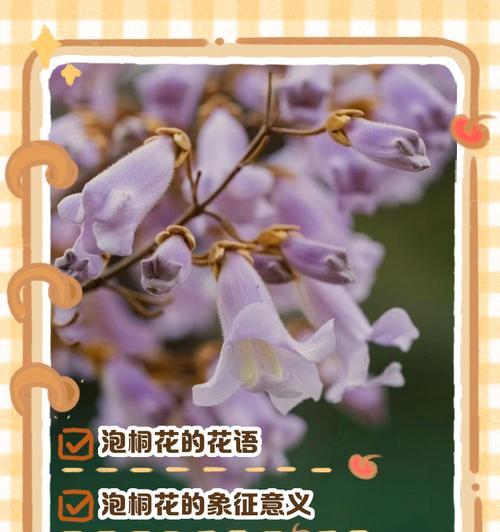 细节在花语中代表什么？花语中的细节寓意有哪些？