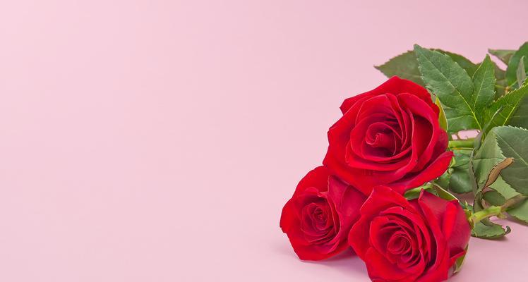 情人节一束花的意义是什么？一束花在情人节代表什么？