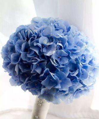 蓝色手工手捧花有何寓意？蓝色手捧花的象征意义是什么？