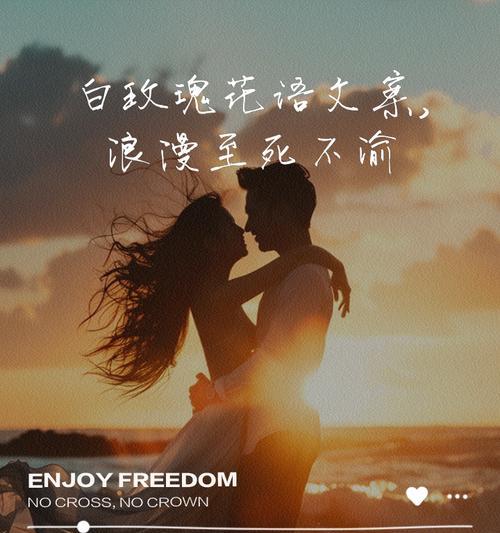 花语如何表达浪漫？