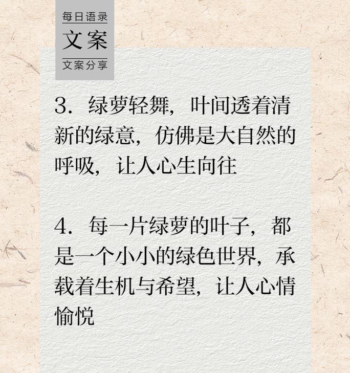 浪漫如初的花语是什么？如何用花语表达浪漫如初？