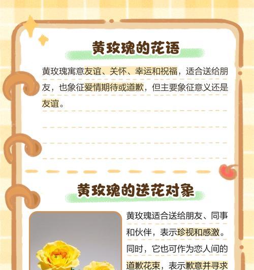 黄色玫瑰花套装代表了什么？