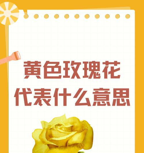 黄色玫瑰花套装代表了什么？
