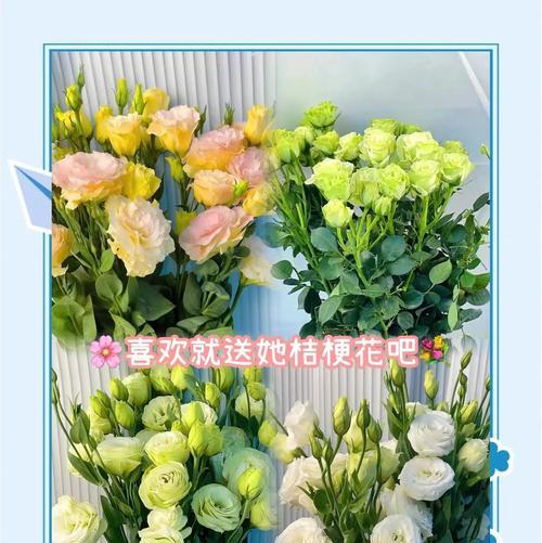 绿色洋桔梗花象征着什么？它有哪些意义？