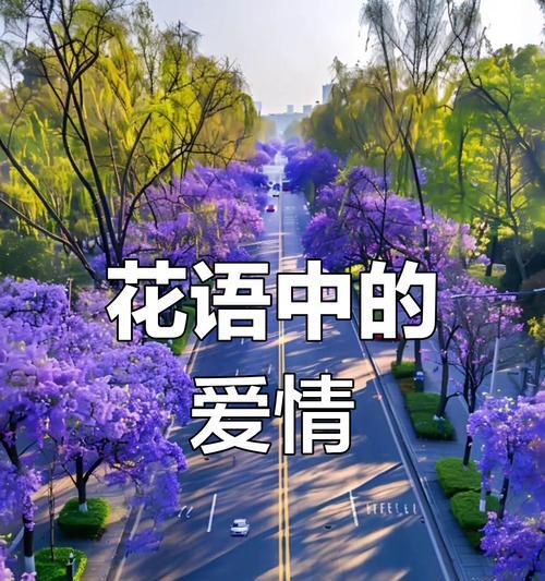 哪种花象征着对爱情的等待？