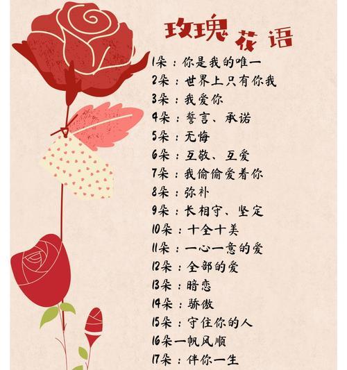 12朵黄色玫瑰花的含义是什么？它传递了怎样的信息？