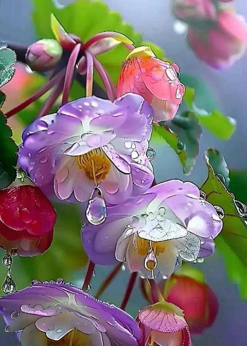竹节上长花代表什么？花在竹节上的寓意是什么？