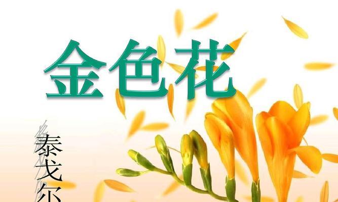 金色花代表什么？金色花的寓意是什么？