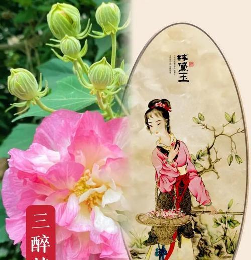 五朵金色芙蓉花象征着什么？