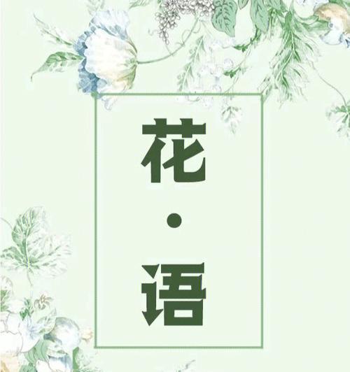 花语中如何表达爱情的留心？留心花语有哪些特别含义？