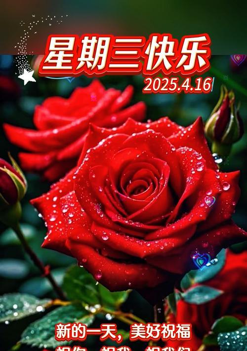 哪些花寓意幸福快乐平安？