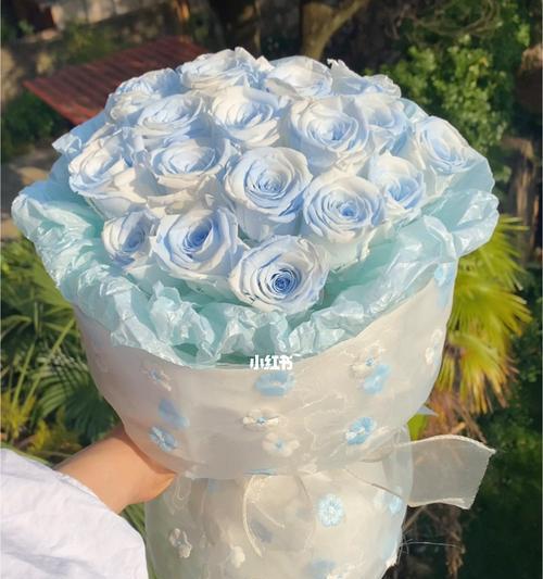 蓝白色玫瑰花代表了什么？