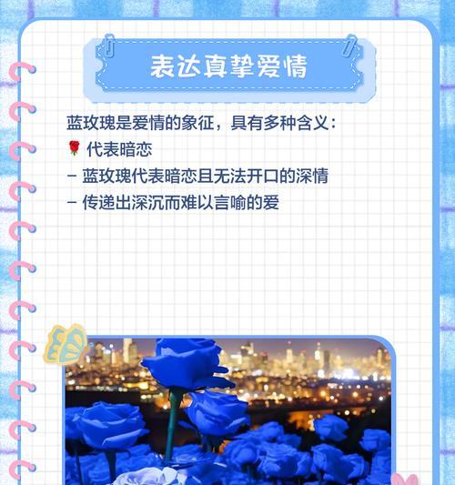 蓝白色玫瑰花代表了什么？