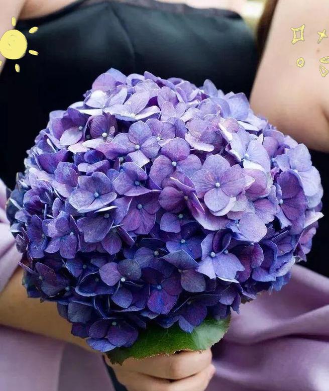 蓝色婚宴手捧花象征什么？蓝色手捧花在婚礼中的意义是什么？