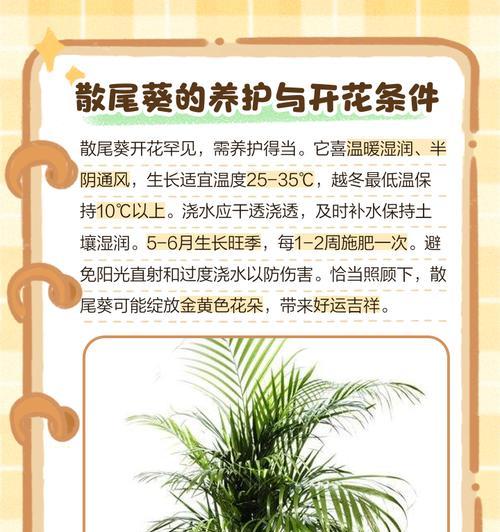 散尾葵的养护技巧（散尾葵怕晒吗？阳光对散尾葵的影响）