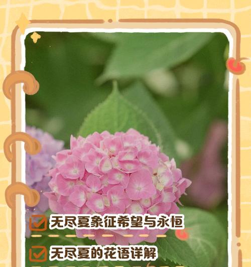 荆棘（探索荆棘的历史、特性和作用）