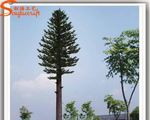 选择适合公司栽种的树种（以景观为主导的企业绿化计划）