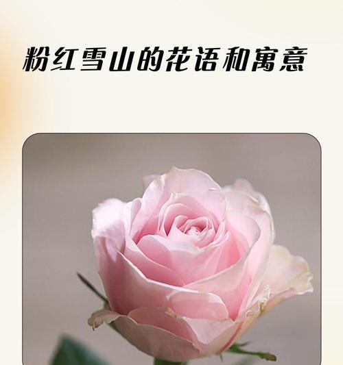茄子不仅可以炒着吃，生吃也很健康（茄子的营养价值和生吃对身体的好处）