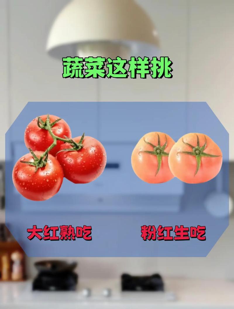 莲藕选购技巧（如何挑选适合的莲藕）