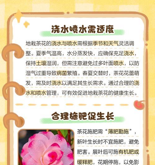 四季茶花浇水技巧（正确的浇水方法让四季茶花健康生长）