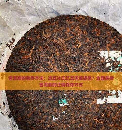 普洱茶的储存方法和长期保存技巧（如何保存普洱茶以保持其优异口感？）