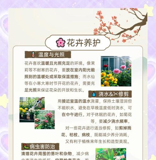 绿萝的养护与管理（详解绿萝的水养方法和注意事项）
