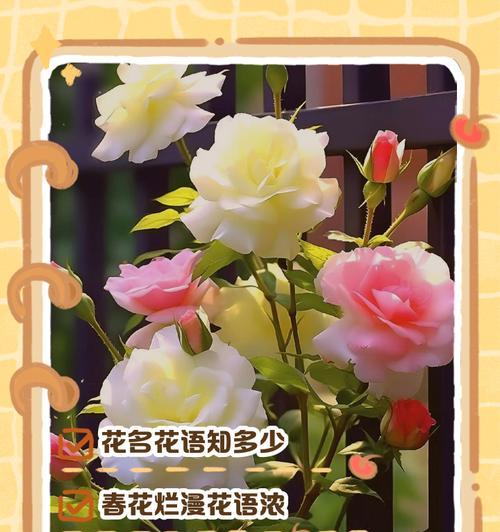 打造美丽庭院，养护下山桩要做到这些！（打造美丽庭院，养护下山桩要做到这些！）