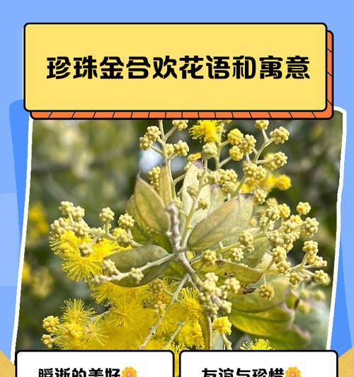 长寿花（一年多次开花，神奇的长寿花）