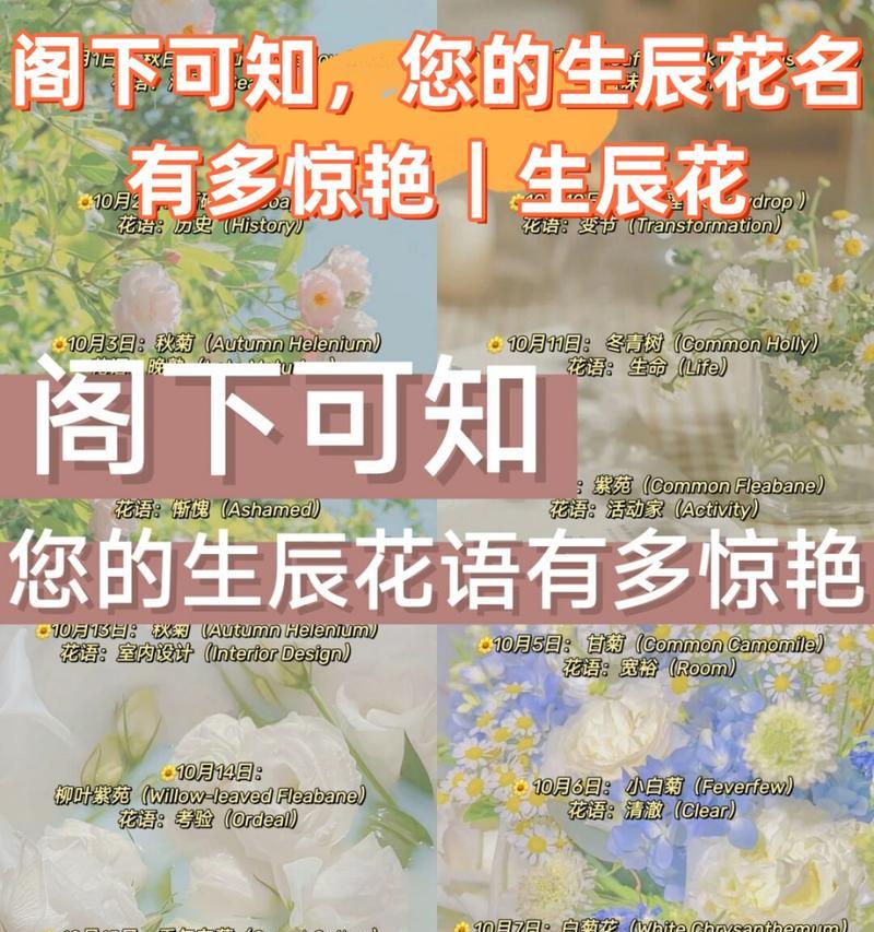 锯末粉是否适合种花？（了解锯末粉的用途与效果）