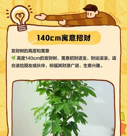 发财树太高怎么办（快速解决方法，避免发生安全隐患）