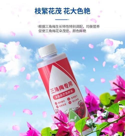 梅花催花的时间和方法（掌握催花技巧，让梅花更早绽放）
