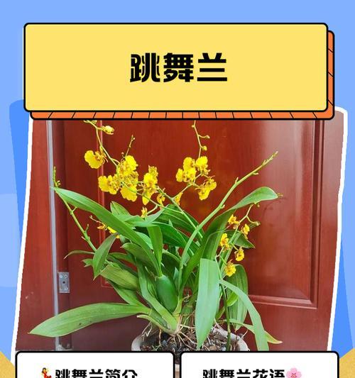 西芹成熟上市时间及关键因素剖析（从生长环境到物理性状，解读西芹的成熟周期）
