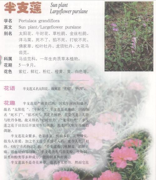 芥菜和梅菜的异同（一探这两种菜的不同之处）