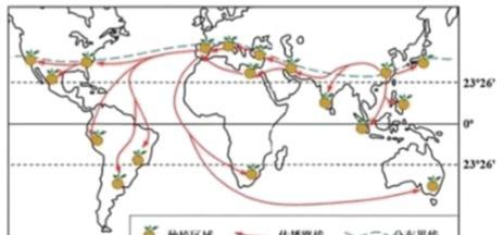 柑橘种植条件地理适宜的地区（柑橘种植所需的气候、土壤、地形条件及适宜地区分析）