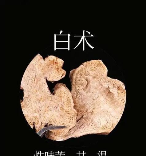 如何科学种植白术？（了解种植时间和方法，提高产量）