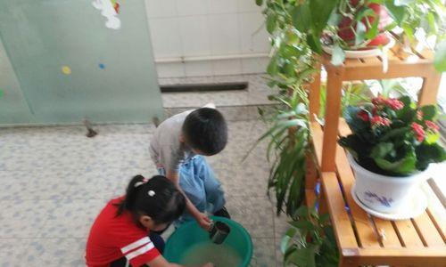 淘小米水适合浇花吗？（解析淘小米水的浇花效果及注意事项）