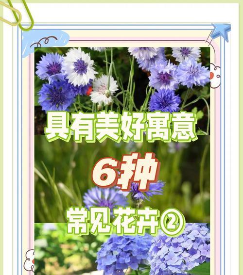 青柠檬泡水喝的好处（美容养颜、健康养生，拒绝暴饮暴食）
