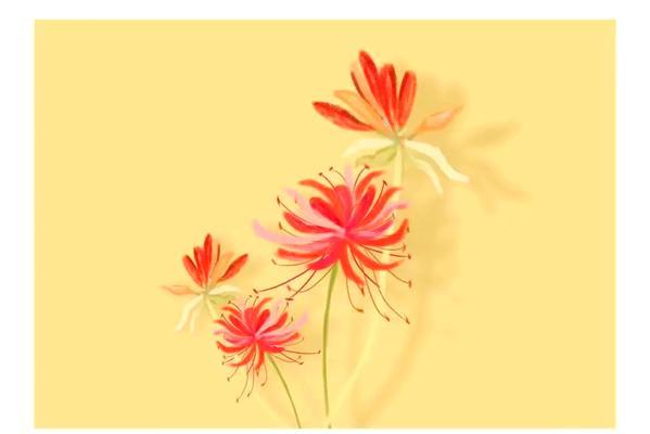 怀旧之花（缅怀过往，重拾回忆，紫丁香的花语与记忆）
