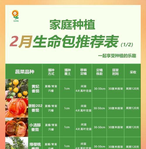 2月适合种植的蔬菜（打造自己的春季菜园，享受自然美好生活）